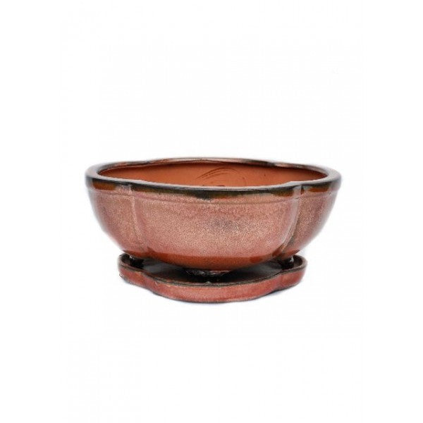 Glazed Rounded Ceramic Bonsai Pot 8" (Earth Variations)