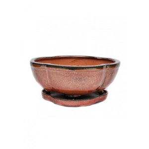 Glazed Rounded Ceramic Bonsai Pot 8" (Earth Variations)