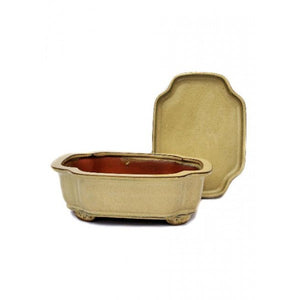 Glazed Rounded Detached Ceramic Bonsai Pot 8" (Olive Variations)