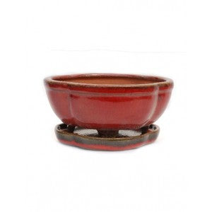 6" Brassy Glazed Ceramic Bonsai Pot