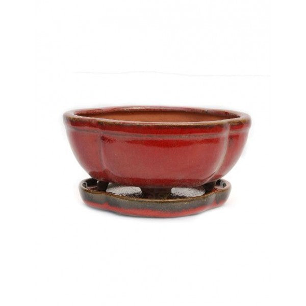 6" Glazed Ceramic Bonsai Pot (Dawn Variation)