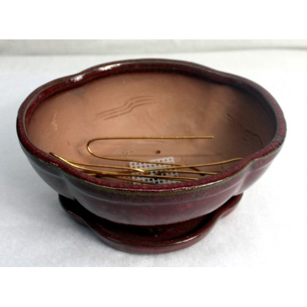 Red Glazed Styled Oval Ceramic Bonsai Pot 8"