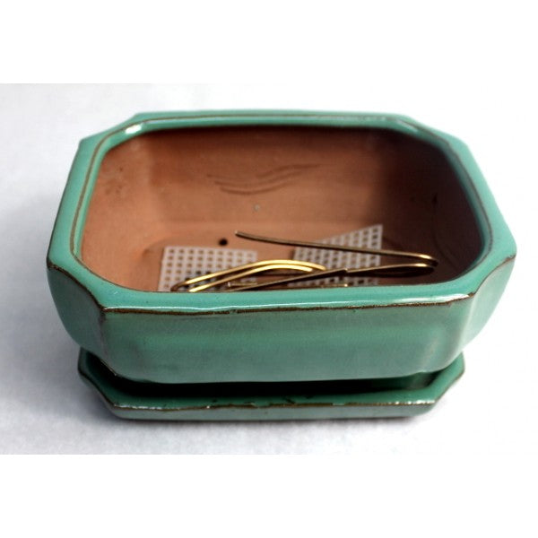 Styled Rectangular Bonsai Pot 6" (Jade Variation)