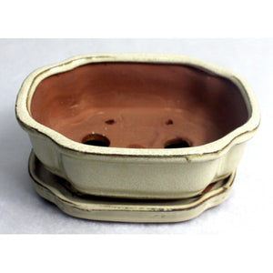 Cascade Glazed Ceramic Bonzai Pot (Cream) 7"