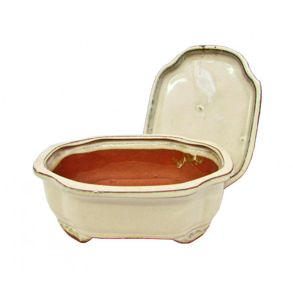 Ivory Styled Oval Ceramic Detached Bonsai Pot 7"