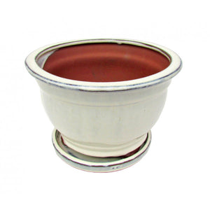 Cascade Glazed Ceramic Bonzai Pot (Ivory) 8"