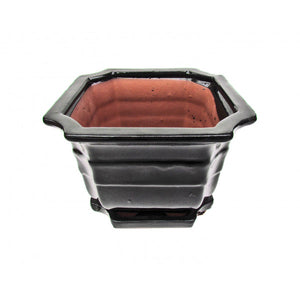 Cascade Glazed Ceramic Bonzai Pot (Obsidian) 8"