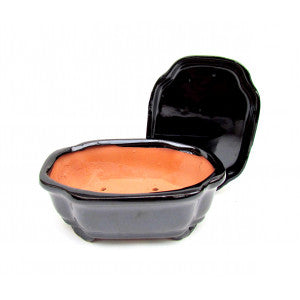 6" Black Shaped Glazed Oval Ceramic Bonsai Pot
