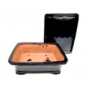 Rectangular Ceramic Glazed Bonsai Pot 8" Black