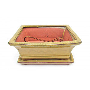 Rectangular Ceramic Glazed Bonsai Pot 8" (Olive Variation)