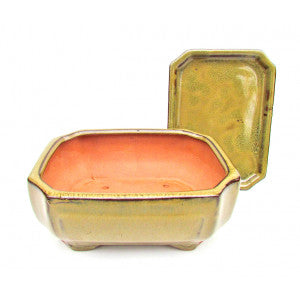 6" Creamy Beige Sculpted Rectangular Bonsai Pot