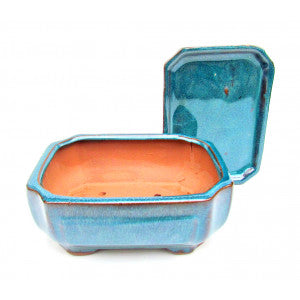 6"Blue Sculpted Rectangular Bonsai Pot