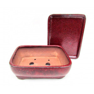 6" Red Hues Rounded Rectangular Bonsai Pot